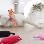 Catnip Stuffed Animal