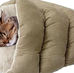 Do cats like sleeping bags?